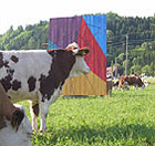 KuhNSTweide Objekt
